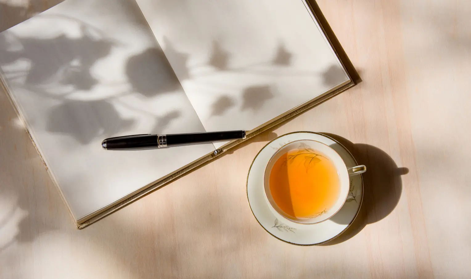 journal